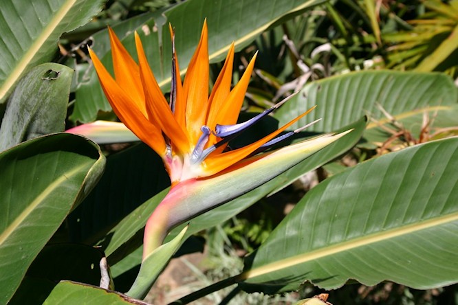 Botanical Gardens