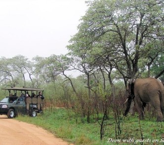 Kruger Park Safaris 40