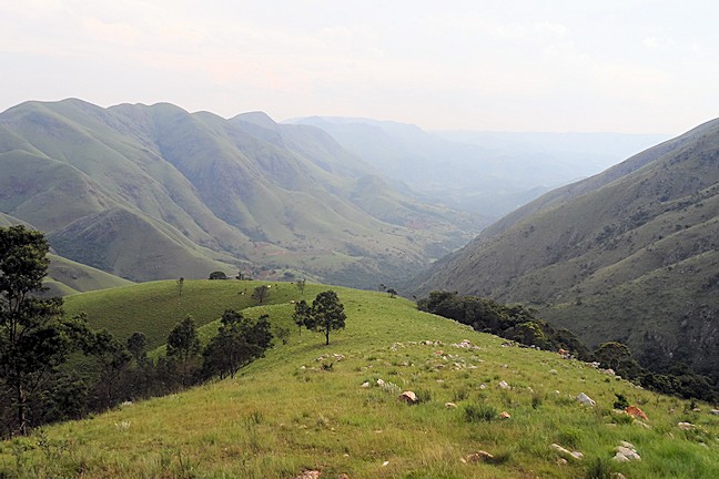 swaziland