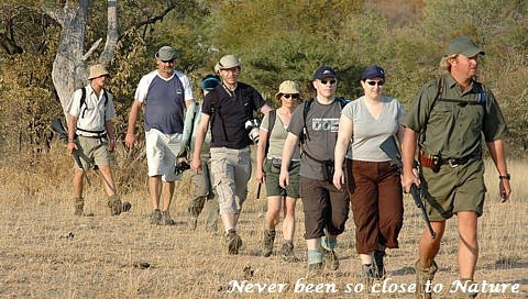 Bush Walk 34.jpg
